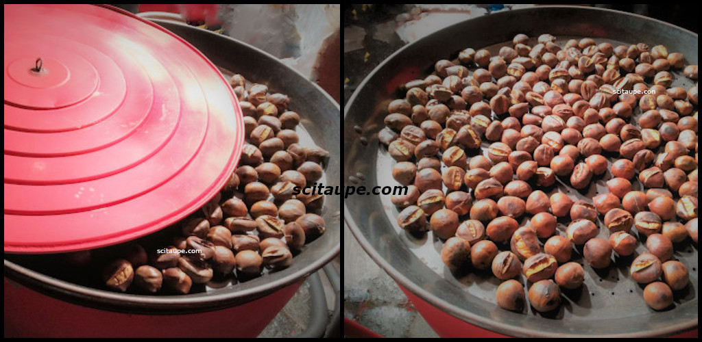 roasted chestnut image loading...