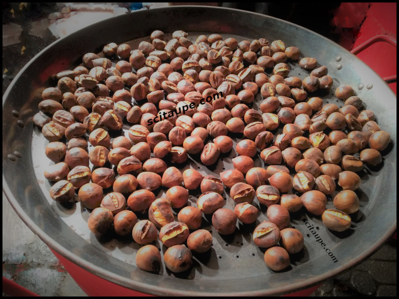 Once the roasting is done, chestnuts are kept on the oven with reduced temperature so that they stay hot