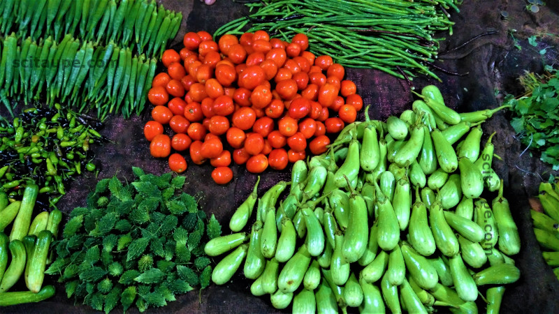 Assorted vegetables for sale at a Sabji Mandi