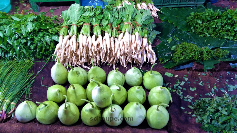 Veggies for sale at a Sabji Mandi Starting from left: Scallion, Radish(top), Bottle Gourd round(bottom), Mint and Coriander(top right)