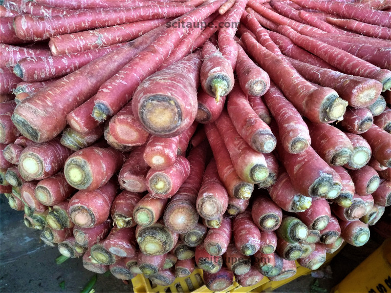 Bouquet of Red Carrots for sale at a Sabji Mandi