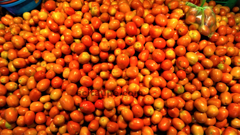 A heap of juicy red tomatoes at a Sabji Mandi in the Indian State of Odisha