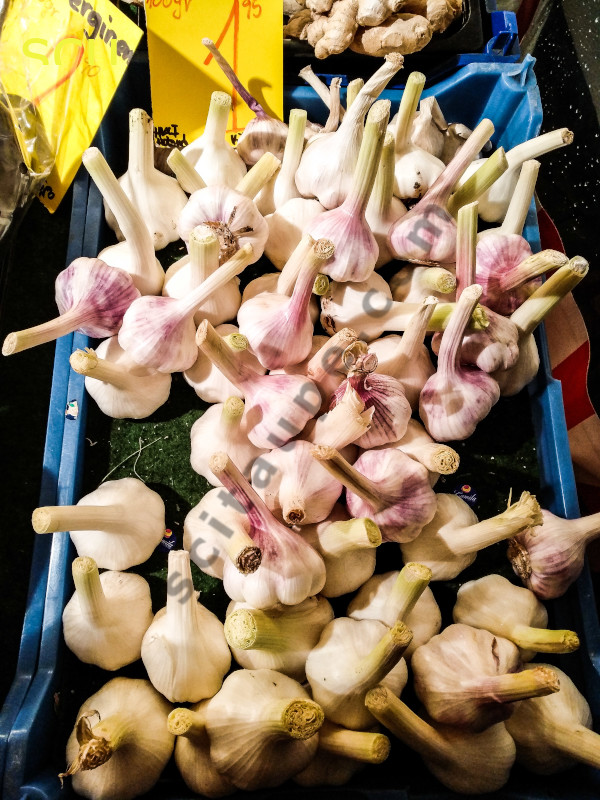 Pretty garlics for the soups and pastas