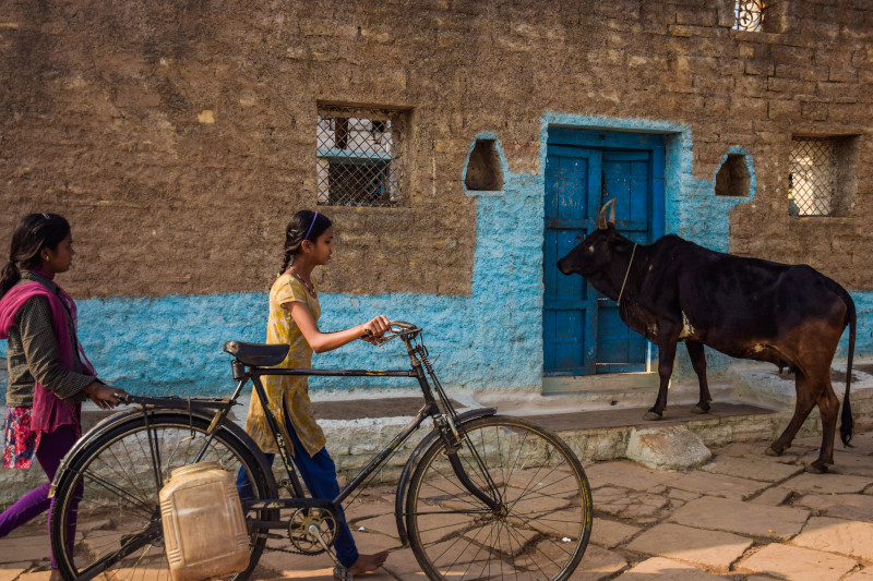 World's Tallest, Largest, Highest in India - 9# largest producer of milk