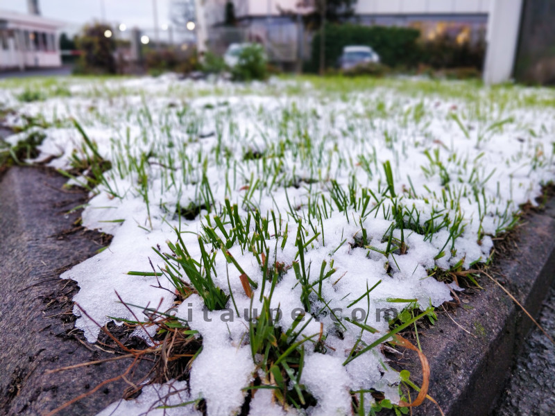 Winter in Germany - Last night's snow melting away